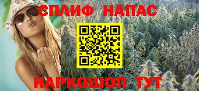 сатива Бузулук