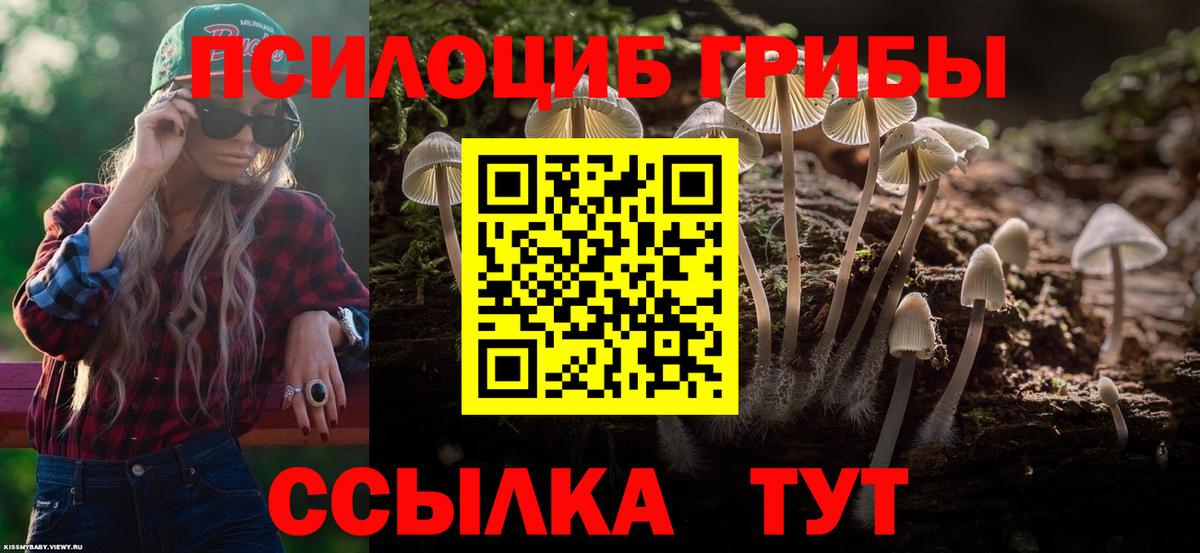 Псилоцибиновые грибы ЛСД Нефтекумск