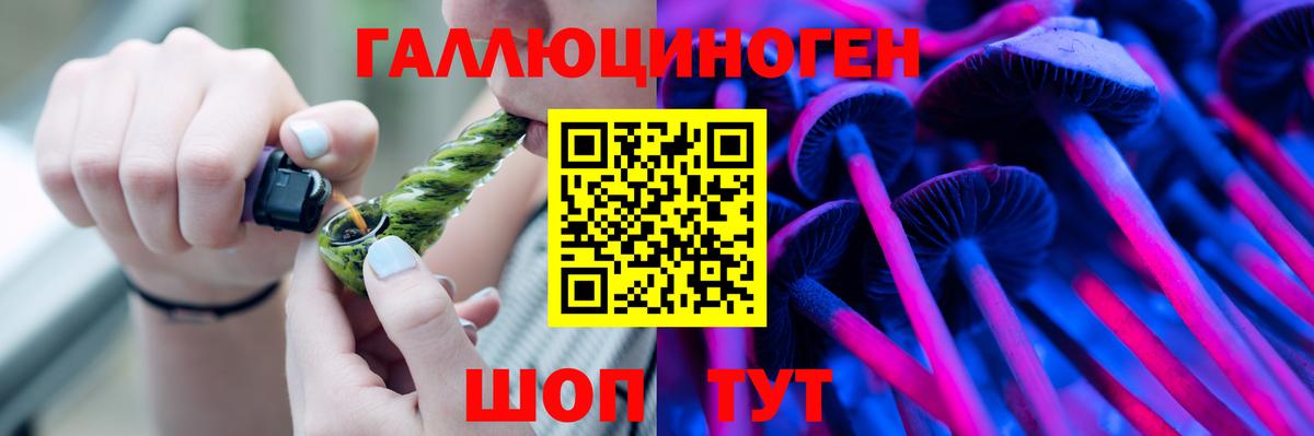Галлюциногенные грибы Psilocybe  Вход с VPN  Нефтекумск 